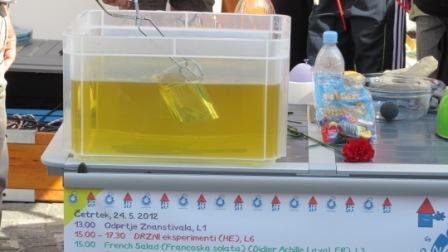 Znanstival7
