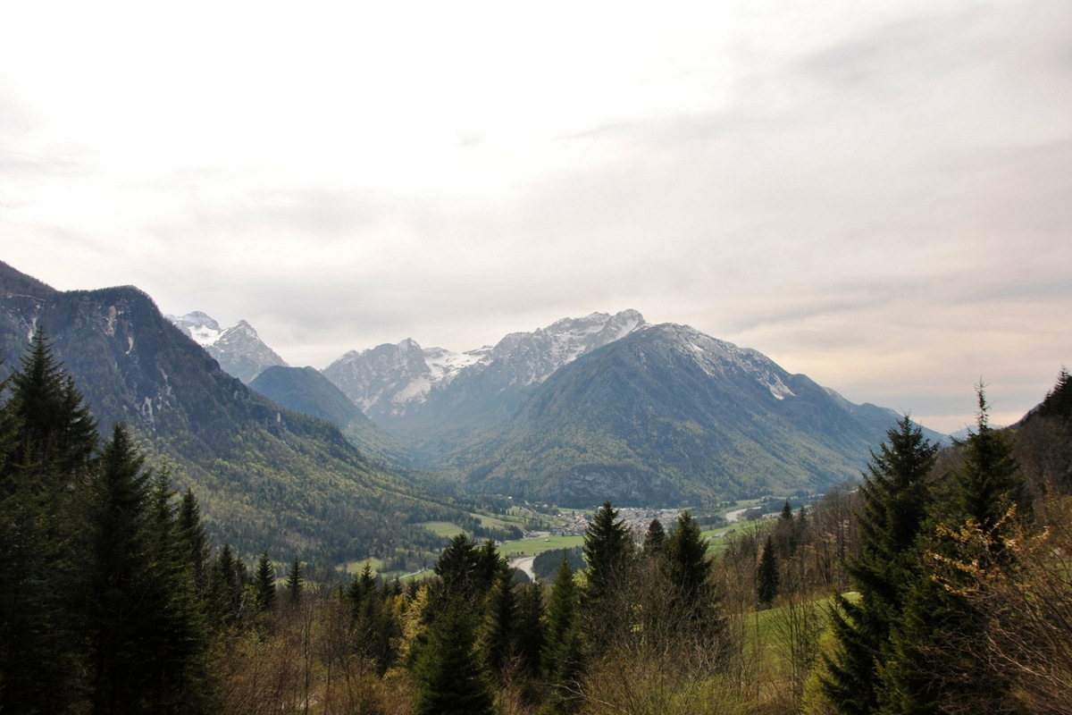 Dolina - Nik Jerkovič