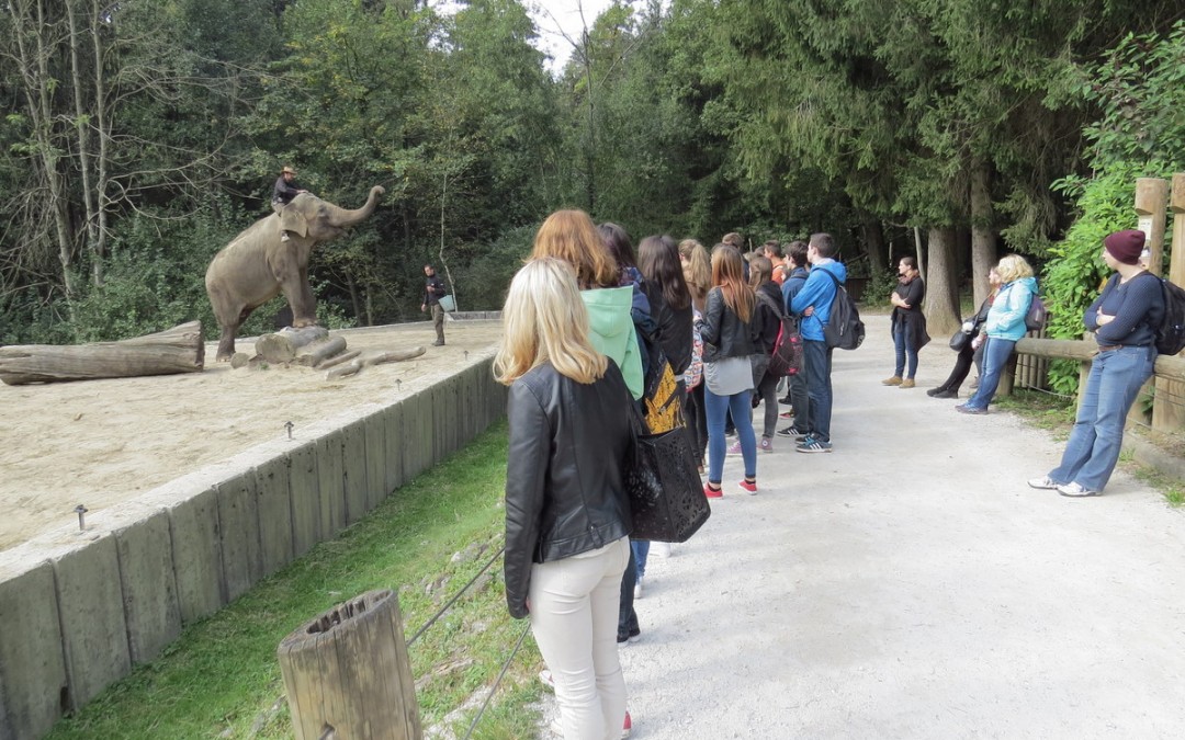 Obisk živalskega vrta v Ljubljani