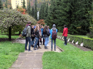 park (1)