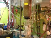 laboratorij-v-podjetju-mycomedica-ekstrakcija-in-doloc48danje-polifenolov